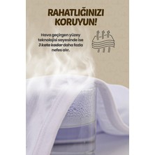 BEGA TEKS Begateks Kadın Külot Yüksek Bel 7'li Paket - Yüksek Bel Rahat Iç Giyim, Pamuklu Kumaş, 7 Farklı Renk Seçeneği