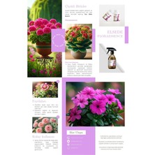 Çiçek Açtıran Bitki Besini Sprey Floraessence