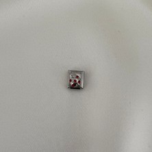 Italyan Charm Uğur Böceği