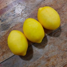 Lolipophobi Yapay Meyve Sarı Limon 3 Adet, Dekor, Yapay Meyve, Limon