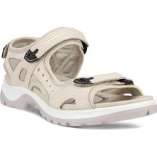 Ecco Offroad Lımestone