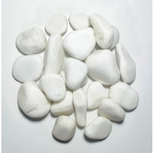 ODN 1 Kg. Tamburlanmış Dolomit Dekoratif Taş Beyaz Dekor, Akvaryum, Saksı ve Peyzaj Bahçe İçin