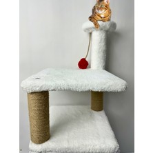 Peluş Dokulu Yavru Kedi Için 46 cm Kedi Tırmalama Tahtası Soft Sevilen Renkler