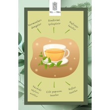 Mel and Mira Premium Spearmint Tea (Kıvırcık Nane) 75 gr