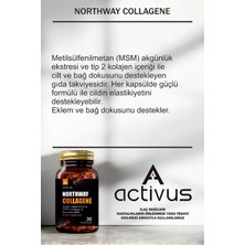 Activus Northway Typeı Iı Collagen 30 Kapsül