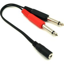3.5 mm Stereo Dişi To 2x 6.3 mm Mono Erkek Çevirici Kablo