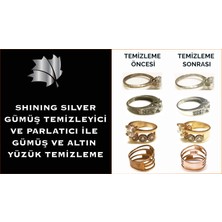 Ornachem Shining Silver Gümüş Temizleyici 2 x 50 ml