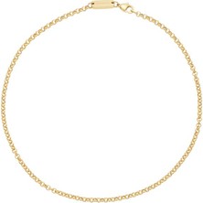 Energetix Kolye Ucu Için Manyetik Zincir