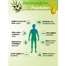 Mavras Organik Natürel Birinci Zeytinyağı 4 Lt Soğuk Sıkım