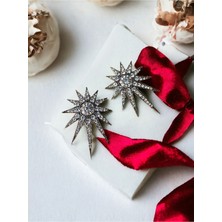 Fayra Accessories Zirkon Taşlı Kuzey Yıldızı Küpe