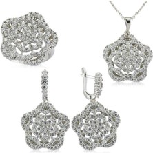 Gümüş Zirkon Taşlı Çiçek Kadın Set CSR2182060