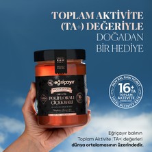 Eğriçayır Polifloralı Organik Çiçek Balı 850 Gr