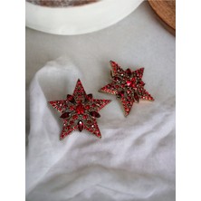 Fayra Accessories Kristal Taşlı Yıldız Küpe