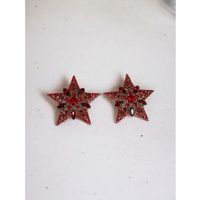Fayra Accessories Kristal Taşlı Yıldız Küpe