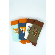 Stocalze Unisex Pamuklu Tilki Koala Özel Desenli 4 Farklı Renkli Esnek Terletmez Rahat Soket Çorap