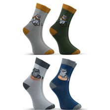 Stocalze Unisex Pamuklu Kedi ve Ayı Özel Desenli 4 Farklı Renkli Esnek Terletmez Rahat Soket Çorap