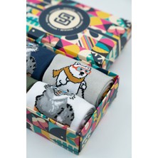 Stocalze Unisex Pamuklu Kedi ve Ayı Özel Desenli 4 Farklı Renkli Esnek Terletmez Rahat Soket Çorap