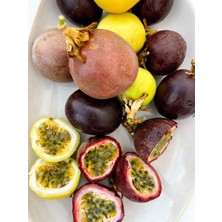 Pasiflora (Çarkılfelek Meyvesi)