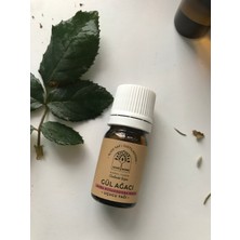 Nine and mi e Doğal Yaşam %100 Saf ve Doğal Gül Ağacı (Aniba Rosaeodora Wood) Uçucu Yağı (5 Ml)