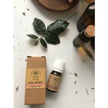 Nine and mi e Doğal Yaşam %100 Saf ve Doğal Gül Ağacı (Aniba Rosaeodora Wood) Uçucu Yağı (5 Ml)