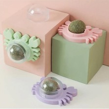 Ozcmax Yengeç Kedi Otu Oyun Topu