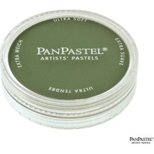 PanPastel Chromium Oxide Green Shade