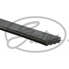 4PK938 Micro-V Xf / 48360 (Fiat Palio - Fiat Palio Weeken ) 10