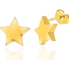Caseras Gümüş Gold Yıldız Çivili Kadın Küpe CSR2184792
