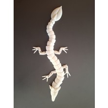 Hareketli Ejder Oyuncak Figür Beyaz-Siyah-Gri Renk Seçeneği ile  24CM Boy