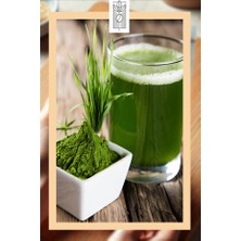 Organik Arpa Çimi Tozu 50G, Premium Barley Grass Powder ( Glutensiz, Vegan, Katkısız )