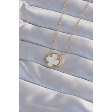 Winwin Store 316L Çelik Gold Renk Beyaz Sedefli Yonca Kolye