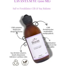 Lavanta Suyu Nemlendirici ve Antioksidan Tonik 200 ml