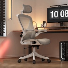 Karr Office Oslo Plus Çalışma Koltuğu