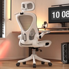 Karr Office Oslo Plus Çalışma Koltuğu