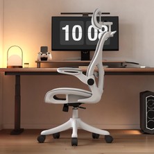 Karr Office Oslo Plus Çalışma Koltuğu