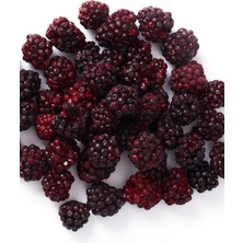 Fresheld x 3 Paket Dondurularak Kurutulmuş Böğürtlen 100 gr