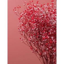 İpek Hobi Bordo  Şoklanmış Renkli Cipso