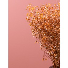 İpek Hobi Turuncu    Şoklanmış Renkli Cipso