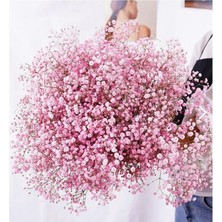 İpek Hobi  Açık Pembe Şoklanmış Renkli Cipso