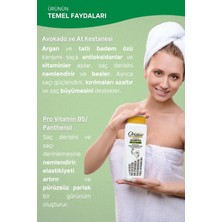 Oriense Dry & Damaged 360 ml Şampuan 4'lü Set - Kuru ve Yıpranmış Saçlar Için Pro-Vitamin B5 ve Fitokeratin, Nihai Bakım,