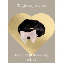 Taşlı Fiyonklu Kürk Saç Tokası