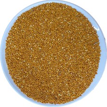 250 gr Kızıl / Kırmızı Darı Kuş Yemi