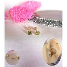 Iki Adet- %100 316 L Cerrahi Çelik Küçük Tek Taş Piercing - Bar Uzunluğu 6 Mm, Taş Çapı 3 mm