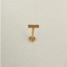 Cerrahi Çelik Dudak, Tragus, Helix Pıercıng