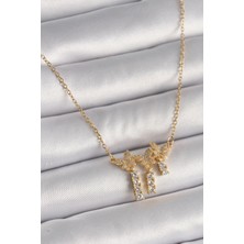 Winwin Store 316L Çelik Gold Renk Zincir Zirkon Taşlı Kelebek Model Sallantı Detay Kadın Kolye