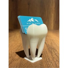 Yapışkan Store Diş Hekimi Masa Üstü Diş Kartvizitlilk