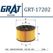 GRAT-17202 - Yag Fıltre ( Ford : Transıt V184 01- )