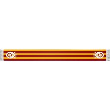Galatasaray Lisanslı Siyah Büyük Logolu T-Shirt ve Çubuklu Atkı