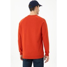 Us Polo Assn Sweatshirt
