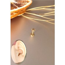 Bylin  Cerrahi Çelik Yıldız Labret Pıercıng -Kulak&dudak Için 1 Adet